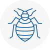 Bed Bug Extermination In Fareham
