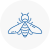 Bee Nest Removal Fareham
