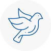 Bird Prevention Fareham