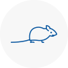 Mice Exterminators In Fareham