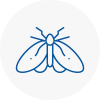 Moth Control Specialists In Fareham