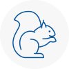 Fareham Rodent Removals